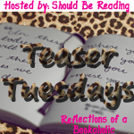 Teaser Tuesday: Veil of Night