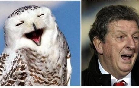 Roy Hodgson: The first owl look-a-like to manage the England football team