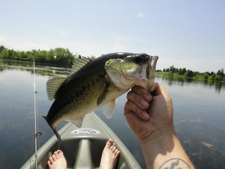 Lake Reba Kayak Fishing Report 4/29/12