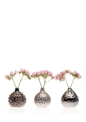 Holy cuteness!  Cool ways to display spring blooms