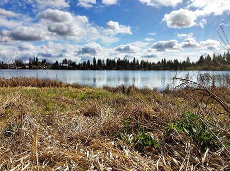 Medical lake