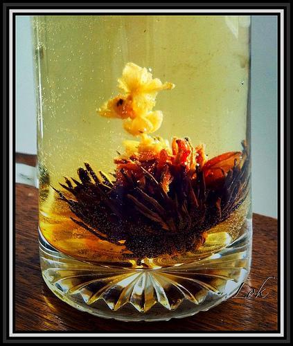 Tea flower