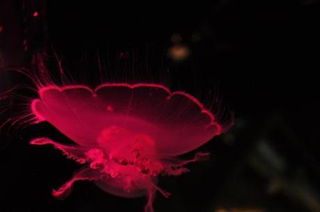 i won!!! DSC_0154_4194