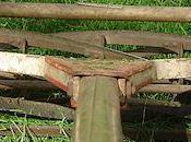 What Causes That 'Fresh Grass' Smell?