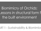 Biomimicry Orchids