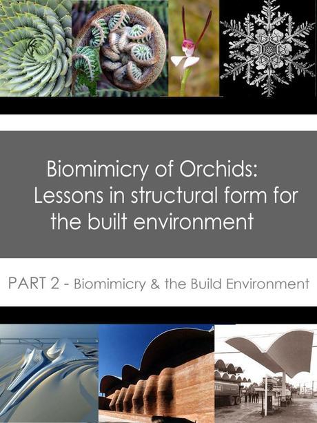 Biomimicry of Orchids
