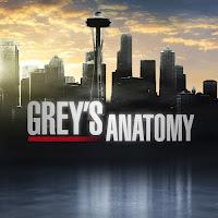 Grey's Anatomy | 8x18 | The Lion Sleeps Tonight | Review