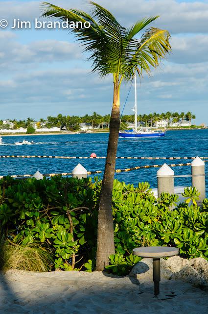 A WILD LOOKING GUY, A CAT JUMPS THROUGH A FLAMING HOOP AND OTHER IMAGES FROM OUR  VISIT TO KEY WEST!!