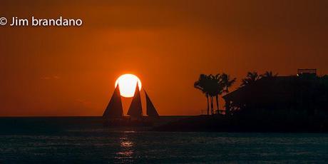 A WILD LOOKING GUY, A CAT JUMPS THROUGH A FLAMING HOOP AND OTHER IMAGES FROM OUR  VISIT TO KEY WEST!!