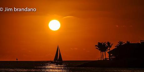 A WILD LOOKING GUY, A CAT JUMPS THROUGH A FLAMING HOOP AND OTHER IMAGES FROM OUR  VISIT TO KEY WEST!!