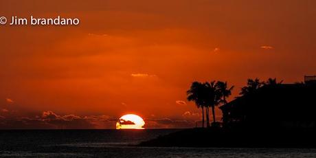 A WILD LOOKING GUY, A CAT JUMPS THROUGH A FLAMING HOOP AND OTHER IMAGES FROM OUR  VISIT TO KEY WEST!!