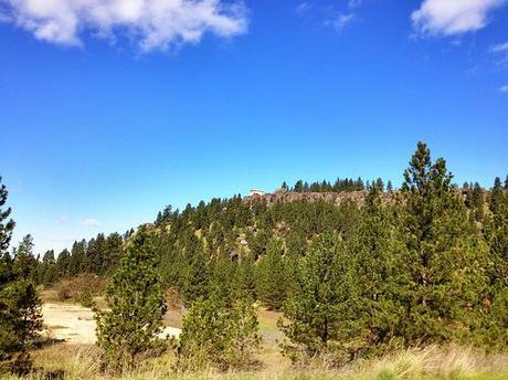 Arbor crest from trail