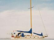 Taming Tongue Social Media