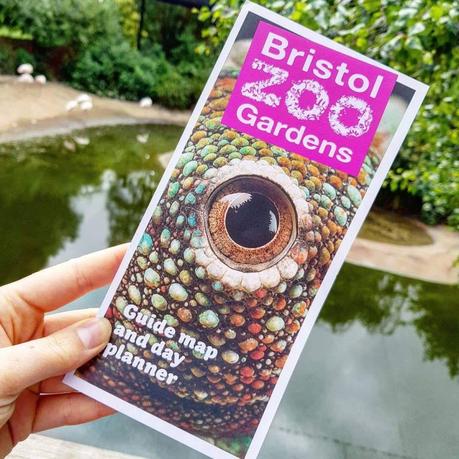 Travel|| Bristol Zoo Gardens