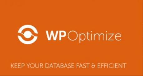 Best WordPress Plugin for Database Optimization