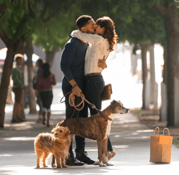 Dog Days starring Eva Longoria & Vanessa Hudgens in theaters August 10th