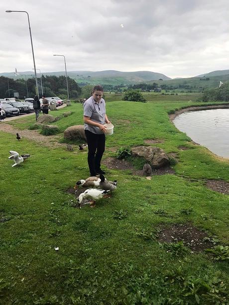 Tebay Northbound Services, M6, England