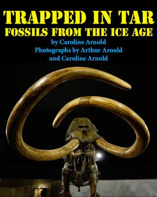 TRAPPED IN TAR: Fossils from the Ice Age NOW IN PAPERBACK at Amazon