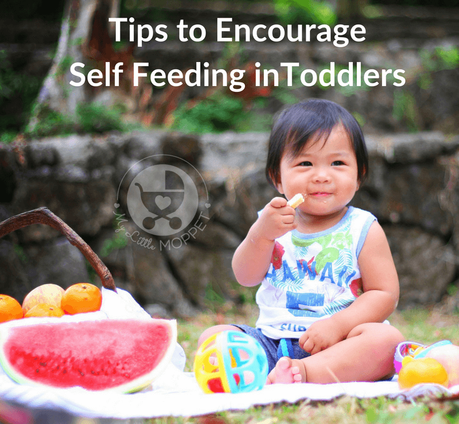 Self feeding is an important milestone. Here are some tips to encourage self feeding in toddlers, starting from an early age.