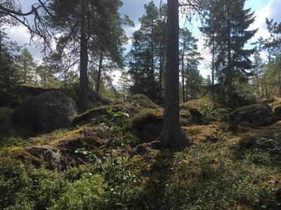 Writers on Location  ̵  Philip Teir on Jakobstad, Finland