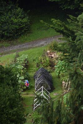 Playing with the New Camera . . .