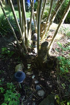 Playing with the New Camera . . .