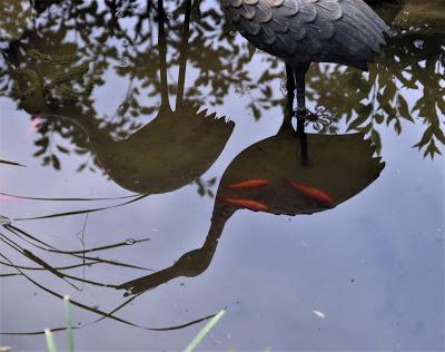 Playing with the New Camera . . .