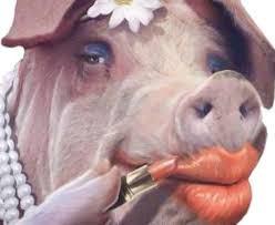 The Democrats’ divide