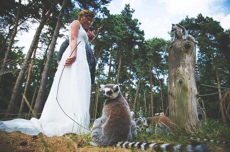 Yorkshire Wildlife Park Wedding, Doncaster – David & Eleanor