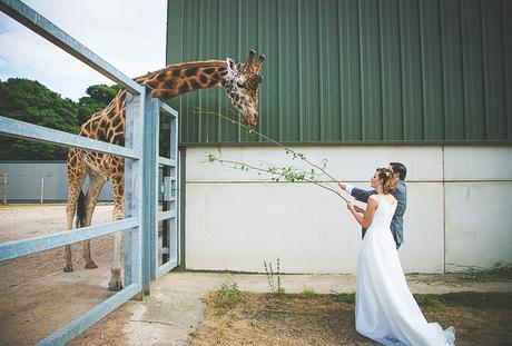 Yorkshire Wildlife Park Wedding, Doncaster - Nathan M Photography - 1