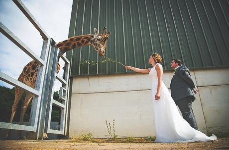 Yorkshire Wildlife Park Wedding, Doncaster - Nathan M Photography - 1