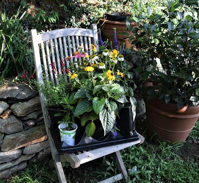 Refreshing the Sundial Garden