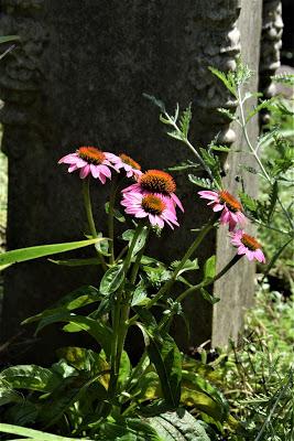 Refreshing the Sundial Garden