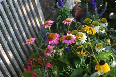 Refreshing the Sundial Garden