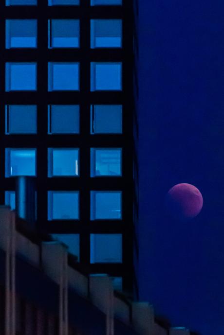 Hunting the blood moon across Zurich
