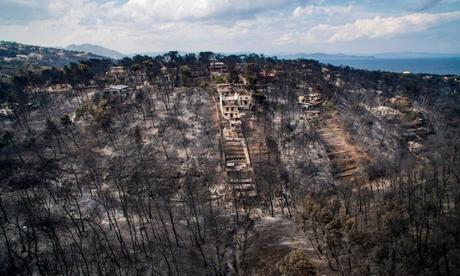 worst wildfire in Greece ~ Govt owns responsibility