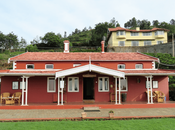 Teanest Nightingale, Kotagiri: Tryst with Nature Tranquility