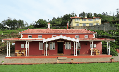 Teanest Nightingale, Kotagiri: a tryst with nature and tranquility