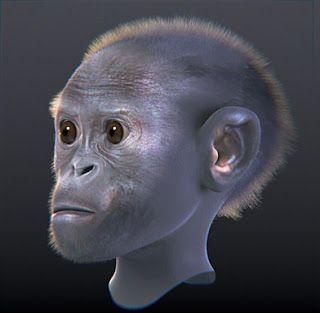 The first Italians – Human evolution news update #12