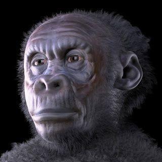 The first Italians – Human evolution news update #12