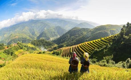 5 Incredibly Beautiful Landscapes To Visit In Vietnam!