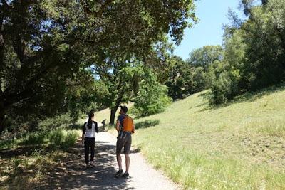 BIRDS, BEES and WILDFLOWERS: Hike in Briones Regional Park, Orinda, CA