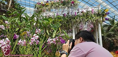 So Many Instagram Worthy Spots At This Year's Singapore Garden Festival 2018