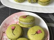 抹茶馬卡龍 Matcha Macarons