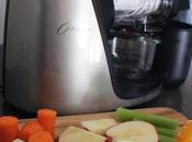 Horizontal Whole Foods Masticating Cold Press Juicer Review