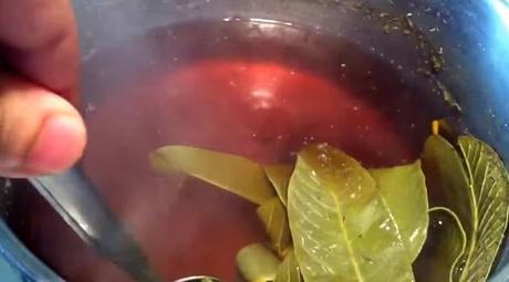 Boiling Guava leaves