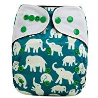 Contoured Day or Night All In Two Cloth Diaper