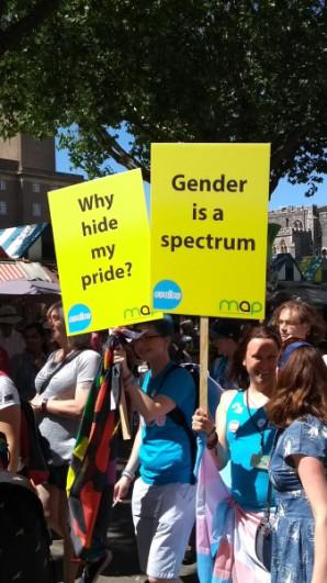 Gender is a Spectrum