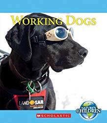 Image: Working Dogs (Nature's Children), by Josh Gregory (Author). Publisher: Childrens Pr (January 15, 2013)