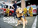 Image: Dogs with Jobs TV Show | jobs include everything from acting, herding sheep, providing mental and physical therapy, working with fire and police departments
